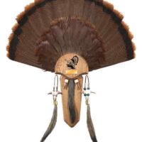 HS STRUT MOUNTING KIT TURKEY - TAIL & THREE BEARD