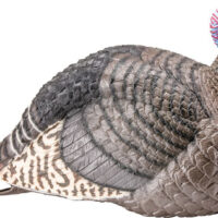 HS STRUT TURKEY DECOY JAKE - STRUT-LITE