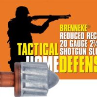 BRENNEKE USA LOW RECOIL 20GA - 2.75" 3/4OZ SLUG 5RD 50BX/CS