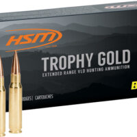 HSM TROPHY GOLD 243 WIN 95GR - BERGER MATCH VLD 20RD 25BX/CS