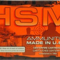 HSM 300 AAC 220GR SUBSONIC - BTHP 20RD 25BX/CS
