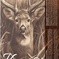 BARNES HARVEST 270 WIN 140GR - TIPPED GAMEKING 20RD 10BX/CS