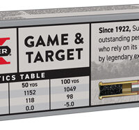 WINCHESTER SUPER-X 22LR 40GR - LEAD-RN 1300FPS 100RD 20BX/CS