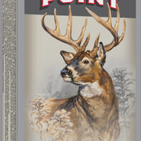 WINCHESTER SUPER-X 30-30 WIN - 170GR POWER POINT 20RD 10BX/CS