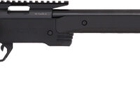 ANSCHUTZ 1761 APR HB 22LR - 21.4" W/30 MOA RAIL