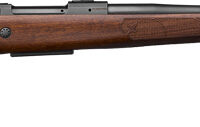 CZ 600 PLUS AMERICAN 243 WIN - 20" BLACK WALNUT STOCK