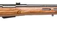 SAVAGE 25LW VARMINTER-T 22HORN - 24" ACU-TGR BLU/BRN LAM T-HOLE