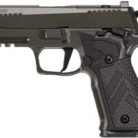 SIG P226XCA LEGION 9MM 3.8" - XRAY3 SAO (3)18RD HOGUE G10