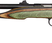 CHIPMUNK PISTOL HUNTER 22LR - BLUED/CAMO LAMINATE THREADED