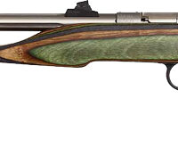 CHIPMUNK PISTOL HUNTER 22LR - STAINLESS/CAMO LAMNT THREADED