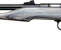 CHIPMUNK PISTOL HUNTER 22WMR - BLUED/BLACK LAMINATE THREADED