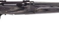 SAVAGE A17 17HMR HVY BBL 22" - ACCU TGR BLU/GRY LAM T-HOLE