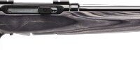 SAVAGE A17 17HMR HVY BBL 22" - ACCU TGR BLU/GRY LAM SPORTER