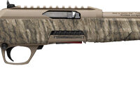 WINCHESTER WILDCAT 22LR 18" - MO BOTTOMLAND/FDE SYNTHETIC