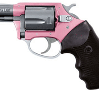 CHARTER ARMS PINK LADY 38SPL - 2" PINK/SS