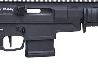 CITADEL TAIPAN 300BLK PUMP - 16.5" STEEL BBL THREADED 10RD
