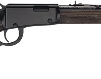 HENRY H1 GARDEN GUN 22LR - 18.5" SMOOTH BORE BLUED WALNUT