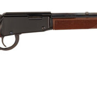 HENRY CLASSIC LEVER 22WMR - 19" BLUED WALNUT