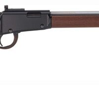 HENRY SMALL GAME CARB 22WMR - 17" OCTAGON LARGE LOOP PEEP