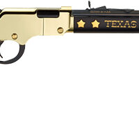 HENRY H4 TEXAS TRIBUTE EDITION - 22S/L/LR 20" OCTAGON