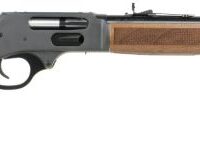 HENRY H9 PROVIDER RIFLE 38-55 - WIN 20" PISTOL GRIP BLUED WNUT