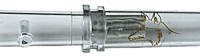 HAYDEL'S PREDATOR CALL - GOVERNMENT HUNTER COTTONTAIL