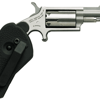 NAA MINI-REVOLVER COMBO 1-5/8" - 22LR/22WMR S/S W/HOLSTER GRP