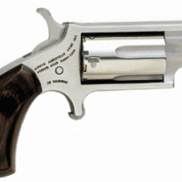 NAA MINI-REVOLVR 22WMR 1-1/8" - S/S MATTE WOOD