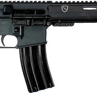 ALEXANDER RIFLE STANDARD - 300AAC 16" 30RD BLACK
