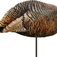 MONTANA DECOY TURKEY HEN - DINNER BELLE