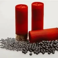 Shotgun Shells