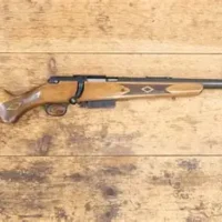 Bolt Action Shotguns