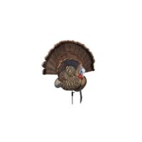 Avian-X Trophy Tom Turkey Decoy