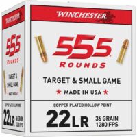 Winchester .22 LR Bulk Pack Rimfire Ammunition .22 LR 36 gr CPHP 555/ct
