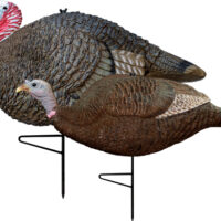 PRIMOS TURKEY DECOY LIL - GOBBSTOPPER JAKE/HEN COMBO