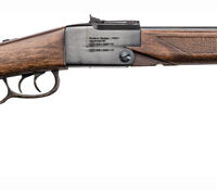 CHIAPPA DOUBLE BADGER O/U - 22LR & 410 BLUED WOOD