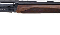 WEATHERBY ELEMENT 2 UPLAND - COMPACT 20 GA 3" 24" BLU/WALNT