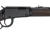 HENRY H1 GARDEN GUN 22WMR - 18.5" SMOOTH BORE BLUED WALNUT