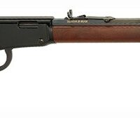 HENRY FRONTIER 17HMR - 20" OCTAGON BLUED WALNUT