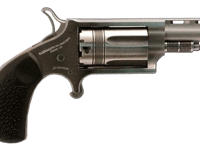 NAA "WASP" MINI-REVOLVER COMBO - 1-5/8" 22LR/22WMR S/S RUBBER
