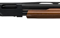 WINCHESTER SXP YOUTH 12GA 3" - 22"VR MATTE BLACK WALNUT