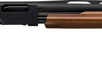 WINCHESTER SXP YOUTH 20GA 3" - 18"VR MATTE BLACK WALNUT