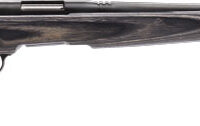SAVAGE BMAG SPORTER 17WSM 22" - ACCU TRIG BLUED/GRAY LAMINATE