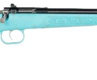 CRICKETT RIFLE G2 22LR BLUE - SYNTHETIC/GOLD WEB BLUED