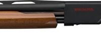WINCHESTER SXP YOUTH 12GA 3" - 24"VR MATTE BLACK WALNUT