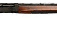 GFORCE ARMS REFUGE 12GA 28" - SEMI AUTO 5RD BLACK WALNUT