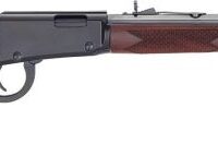 HENRY H1 WESTERN FRONTIER - 22WMR 20" OCT. BLUED WALNUT