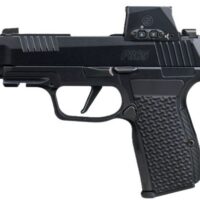 SIG P365 AXG LUXE 380ACP 3.1" - 2-PORT W/ROMEO-X (3)12RD BLACK