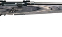 SAVAGE A17 17WSM SPORTER 22" - ACCU TGR BLU/GRY LAM SPORTER