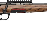WINCHESTER XPERT THUMBHOLE - TARGET 17WSM 18" BROWN LAM SR